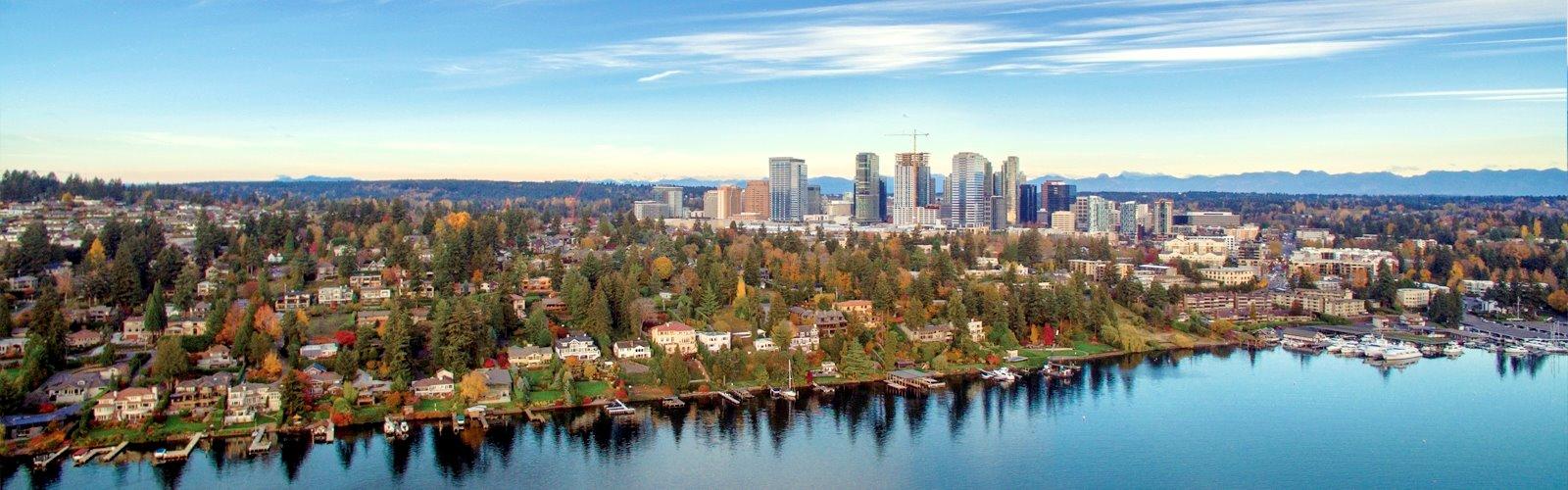 Aerial view of Whaler’s Bay, the lake and the downtown skyline